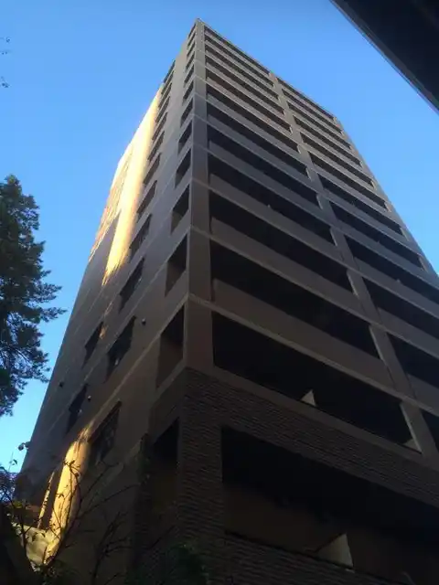 ソリッド大橋